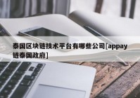 泰国区块链技术平台有哪些公司[appay链泰国政府]