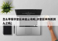 怎么举报华登区块链公司呢[华登区块狗抓到人了吗]