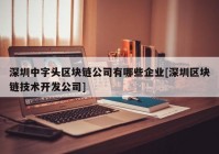 深圳中字头区块链公司有哪些企业[深圳区块链技术开发公司]