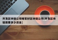 开发区块链公司哪家好区块链公司[开发区块链需要多少资金]